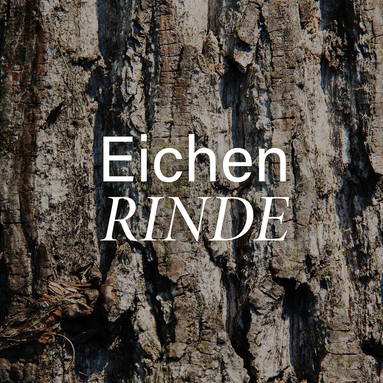 Unser wertvoller Upcycling-Rohstoff – Eichenrinde 🌳