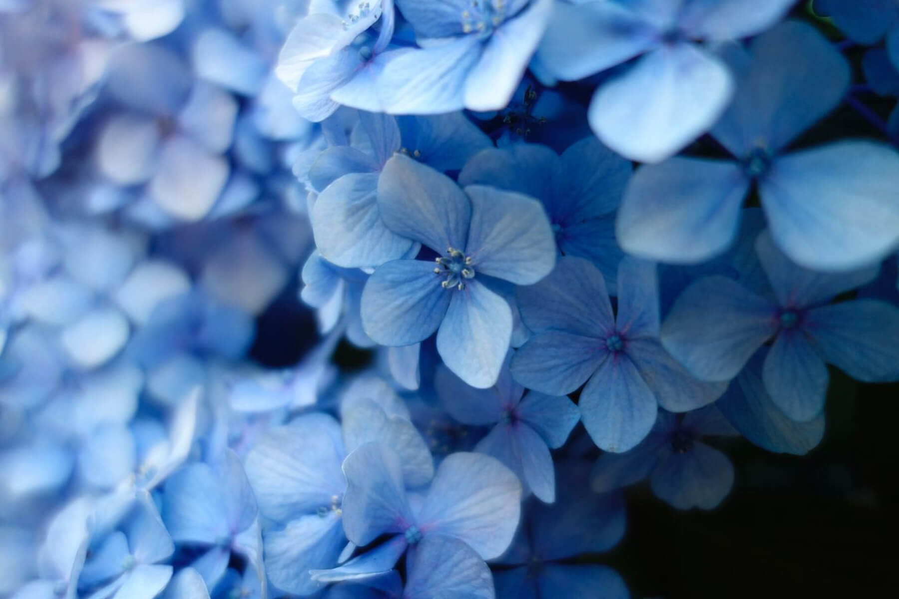 Die passende Hautpflege für den Frühling